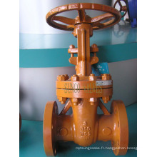 API Indusrtial Aplication Gate Valve